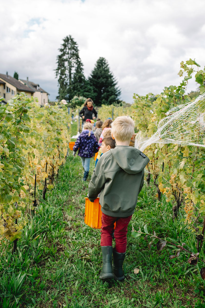 vue panoramique vignes Lavaux atelier enfants