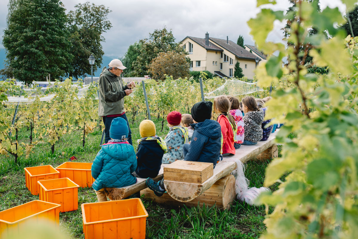 vue panoramique vignes Lavaux atelier enfants